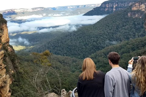 Blue Mountains Private Tour - Wild Kangaroos, Waterfalls And The Three Sisters - Accommodation Port Hedland 3
