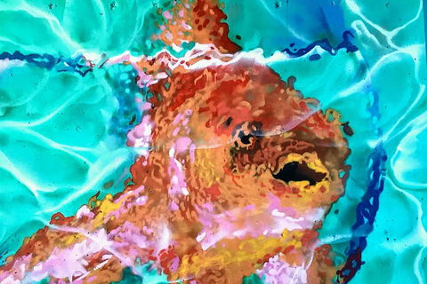 Discover Brisbane - South Bank - Accommodation Port Hedland 4