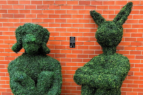 Discover Brisbane - South Bank - Accommodation Port Hedland 5