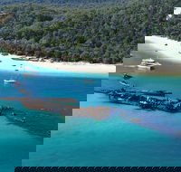 All Inclusive Tangalooma Wrecks Cruise Tour From Gold Coast - Accommodation Port Hedland