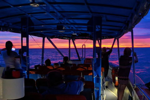 Darwin Sunset Cruise Including Fish 'n' Chips - Accommodation Port Hedland 1