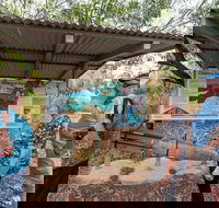 Bombing of Darwin World War II Tour with Harbour Cruise - Accommodation Port Hedland