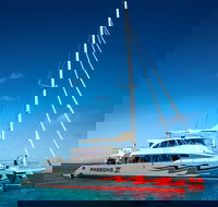 Passions of Paradise Great Barrier Reef Snorkel and Dive Cruise from Cairns by Luxury Catamaran - Accommodation Port Hedland