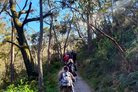 Self-Guided Waterfall Gully To Mount Lofty Hike From Adelaide - Accommodation Port Hedland 1