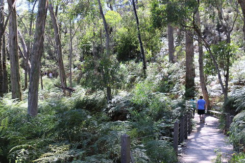 Self-Guided Waterfall Gully To Mount Lofty Hike From Adelaide - Accommodation Port Hedland 2