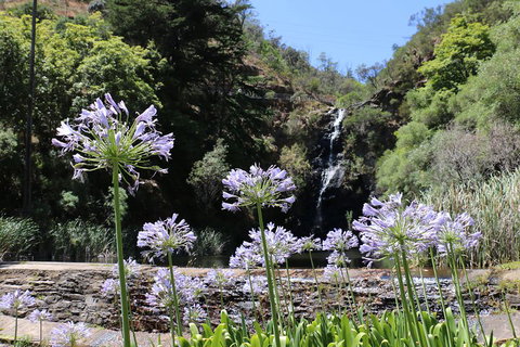 Self-Guided Waterfall Gully To Mount Lofty Hike From Adelaide - Accommodation Port Hedland 3