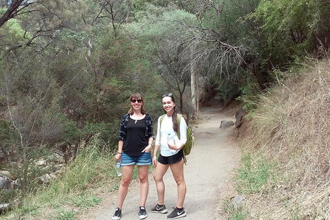 Self-Guided Waterfall Gully To Mount Lofty Hike From Adelaide - Accommodation Port Hedland 4