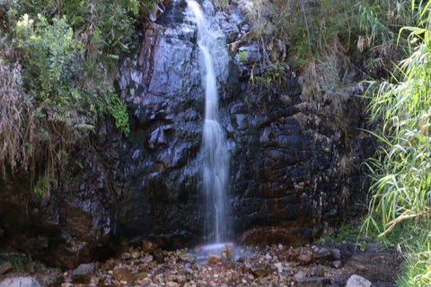 Self-Guided Waterfall Gully To Mount Lofty Hike From Adelaide - Accommodation Port Hedland 5