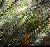 O'Reilly's  Lamington National Park from Gold Coast - Accommodation Port Hedland