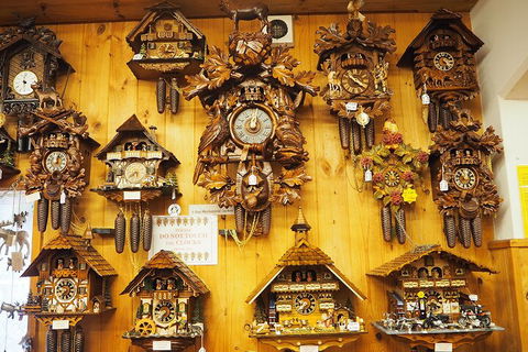 O'Reilly's & Lamington National Park From Gold Coast - Accommodation Port Hedland 5