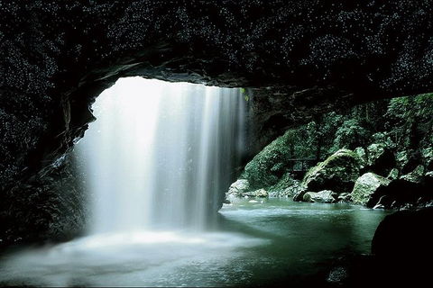 Natural Bridge Glow Worm Night Tour From Gold Coast - Accommodation Port Hedland 0