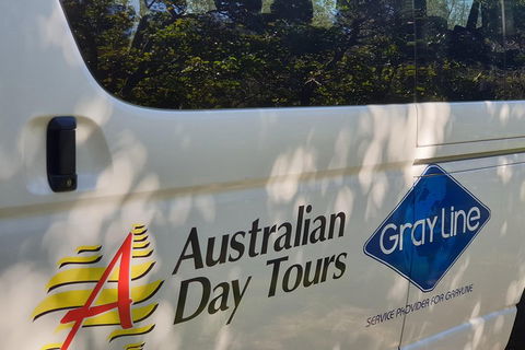 Natural Bridge Glow Worm Night Tour From Gold Coast - Accommodation Port Hedland 5