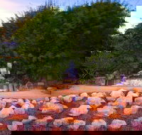 Byron Bay and the Crystal Castle Day Tour from Gold Coast - Accommodation Port Hedland