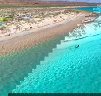 Ningaloo in a Day - Full Day Hike and Snorkel Tour with Lunch - Accommodation Port Hedland