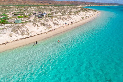 Ningaloo In A Day - Full Day Hike And Snorkel Tour With Lunch - Accommodation Port Hedland 0