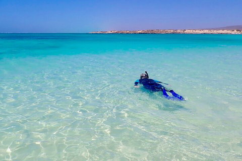 Ningaloo In A Day - Full Day Hike And Snorkel Tour With Lunch - Accommodation Port Hedland 4