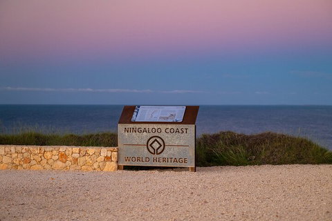 Ningaloo In A Day - Full Day Hike And Snorkel Tour With Lunch - Accommodation Port Hedland 5