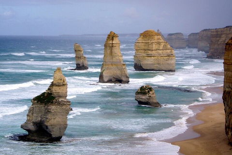 LGBT+ Friendly 2 Day Private Tour Great Ocean Road + Phillip Island - Accommodation Port Hedland 0