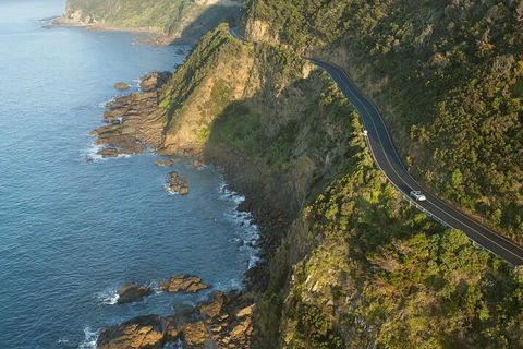 LGBT+ Friendly 2 Day Private Tour Great Ocean Road + Phillip Island - Accommodation Port Hedland 4