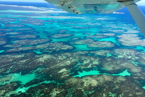 Shipwreck Special Full Day Tour Of The Abrolhos Islands - Accommodation Port Hedland 1