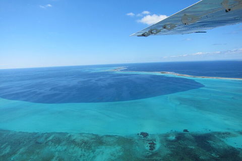 Shipwreck Special Full Day Tour Of The Abrolhos Islands - Accommodation Port Hedland 2
