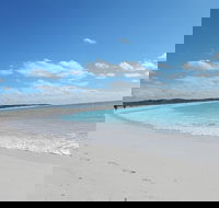Shipwreck Special Nature Tour/Half Day Tour - Accommodation Port Hedland