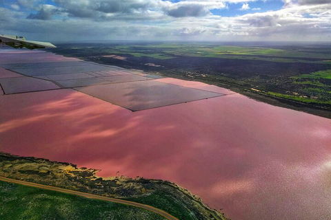 Kalbarri, Pink Lake And Abrolhos Islands Nature Tour - Accommodation Port Hedland 1