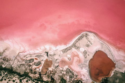 Kalbarri, Pink Lake And Abrolhos Islands Nature Tour - Accommodation Port Hedland 2