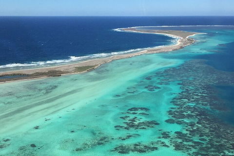 Kalbarri, Pink Lake And Abrolhos Islands Nature Tour - Accommodation Port Hedland 3