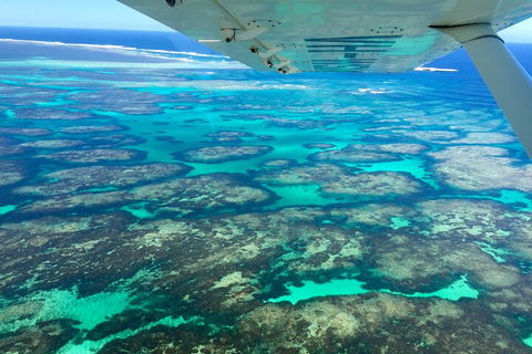 Kalbarri, Pink Lake And Abrolhos Islands Nature Tour - Accommodation Port Hedland 5