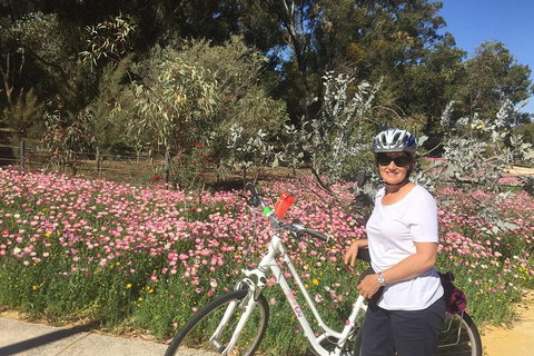 Perth Bike Tour - Beautiful Matilda Bay And Kings Park - Accommodation Port Hedland 1