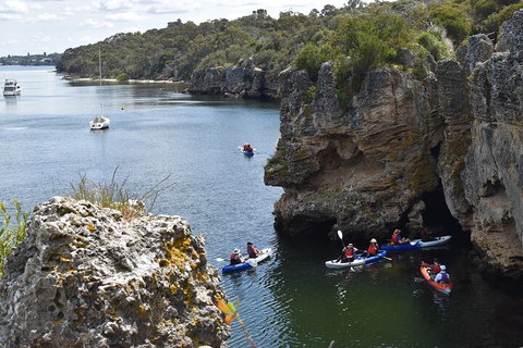 Cliffs And Caves Kayak Tour In Swan River - Accommodation Port Hedland 5