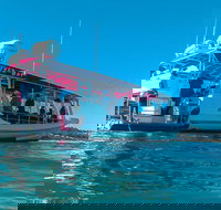 Best of Moreton Bay Cruise - Accommodation Port Hedland