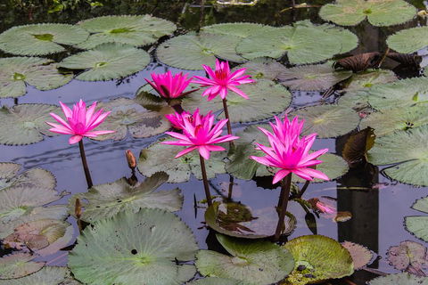 Kakadu, Nourlangie And Yellow Waters Tour From Darwin - Accommodation Port Hedland 1