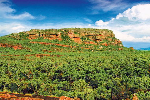 Kakadu, Nourlangie And Yellow Waters Tour From Darwin - Accommodation Port Hedland 3