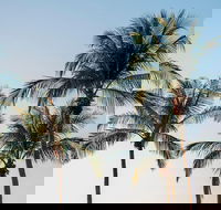 Darwin City Sightseeing Tour - Accommodation Port Hedland