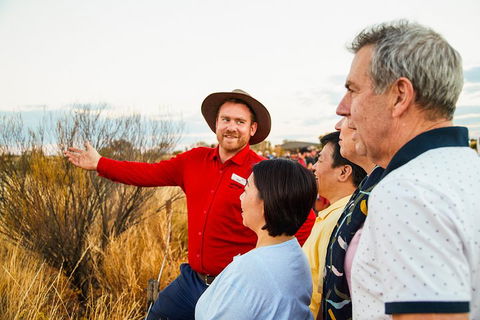 Uluru (Ayers Rock) Sunset With Outback Barbecue Dinner And Star Tour - Accommodation Port Hedland 3