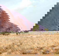 Uluru Sunrise and Guided Base Walk - Accommodation Port Hedland