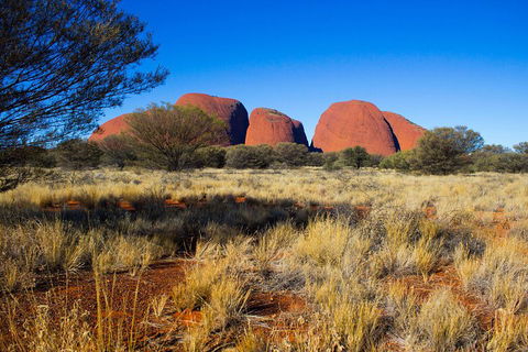 Kata Tjuta Sunrise And Valley Of The Winds Half-Day Trip - Accommodation Port Hedland 1
