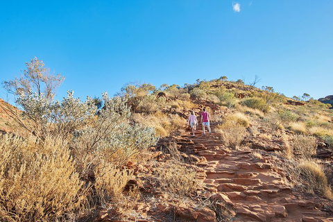 Kings Canyon Guided Rim Walk - Accommodation Port Hedland 1