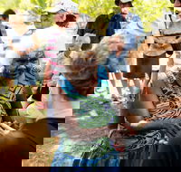 Tiwi Islands Cultural Experience from Darwin Including Ferry - Accommodation Port Hedland