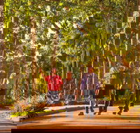 Darwin City Sights and Jumping Crocodile Cruise - Accommodation Port Hedland