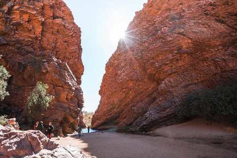 West MacDonnell Ranges- Half Day Trip From Alice Springs - Accommodation Port Hedland 0