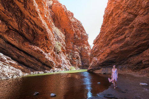 West MacDonnell Ranges- Half Day Trip From Alice Springs - Accommodation Port Hedland 1