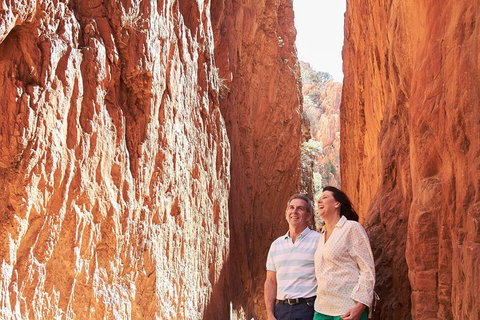 West MacDonnell Ranges- Half Day Trip From Alice Springs - Accommodation Port Hedland 2