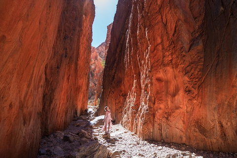 West MacDonnell Ranges- Half Day Trip From Alice Springs - Accommodation Port Hedland 3