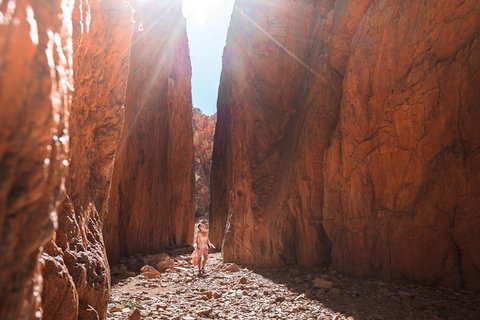 West MacDonnell Ranges- Half Day Trip From Alice Springs - Accommodation Port Hedland 4