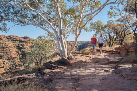3-Day Tour From Uluru (Ayers Rock) To Alice Springs Via Kings Canyon - Accommodation Port Hedland 1