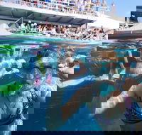 Great Barrier Reef Day Cruise from Cairns Including Snorkeling and Marine Biologist Presentation - Accommodation Port Hedland