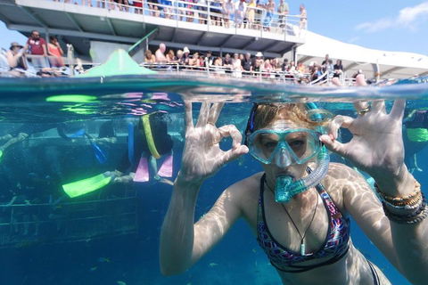 Great Barrier Reef Day Cruise From Cairns Including Snorkeling And Marine Biologist Presentation - Accommodation Port Hedland 0